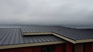 Best Sheet Metal Roofing  in Ball Ground, GA